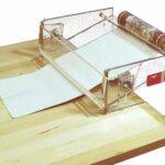 Border Paster Discontinued